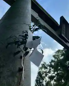 手力雄神社(岐阜県)(2024年07月15日(月) 10時10分25秒投稿)