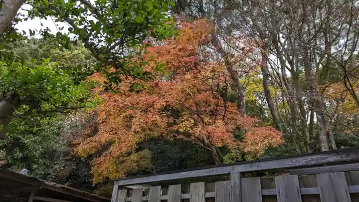 醍醐寺(京都府)