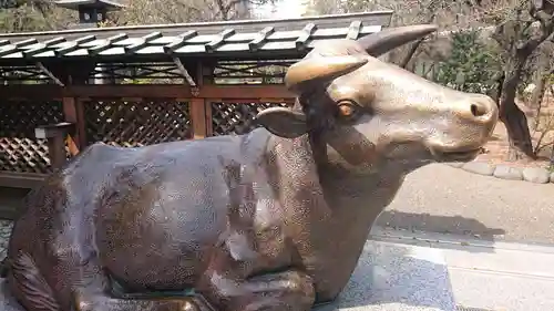 湯島天満宮の狛犬