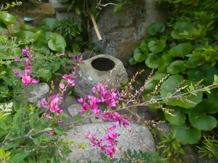 浄光明寺の庭園