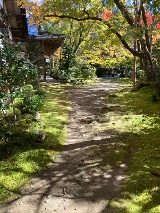 西明寺(京都府)