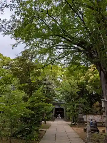 赤坂氷川神社(東京都)