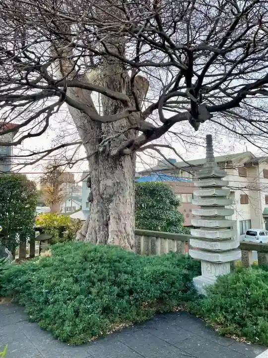 延命寺(埼玉県)