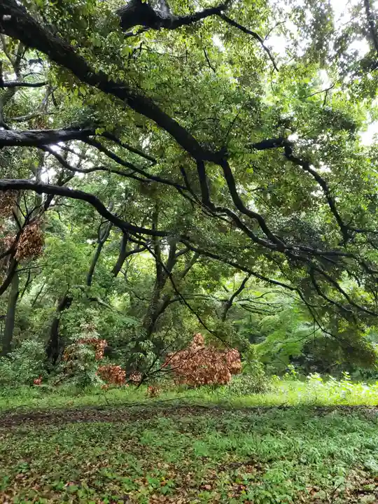 明治神宮(東京都)