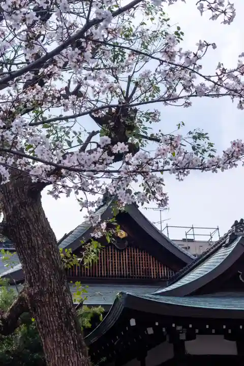 熊野神社(京都府)