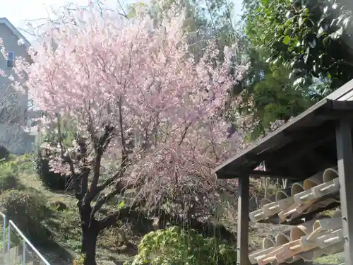 壹鑑寺(埼玉県)
