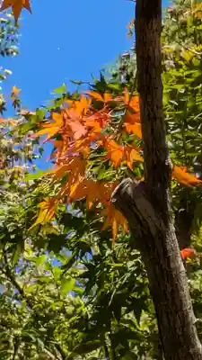 光明寺（粟生光明寺）(京都府)