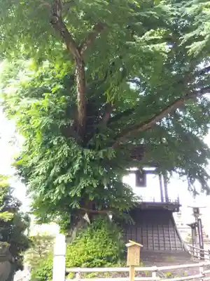 北向観音(長野県)