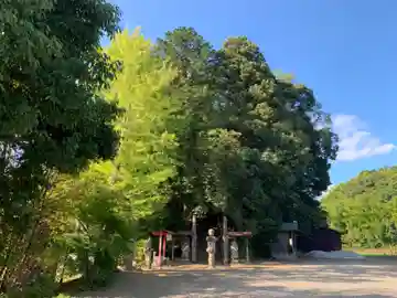 田中山観音堂(千葉県)