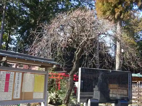 亀ケ池八幡宮の自然
