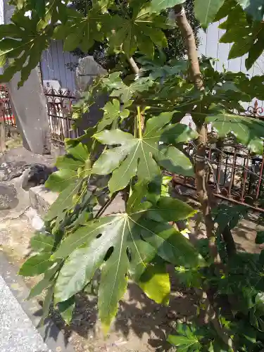 武蔵第六天神社(埼玉県)