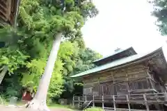 松尾寺の建物その他