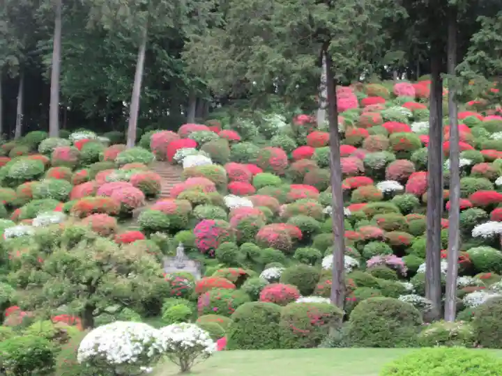 七国山薬王寺(東京都)