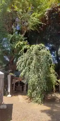 目黒富士浅間神社(東京都)