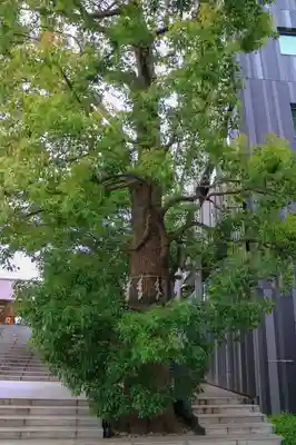 赤城神社のその他建物