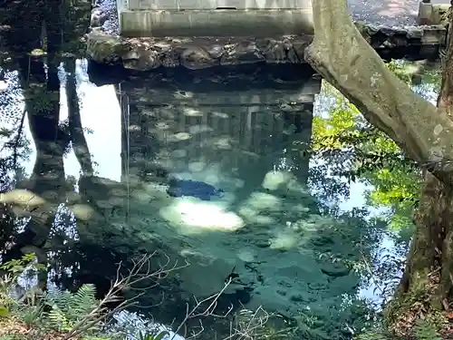 泉神社(茨城県)