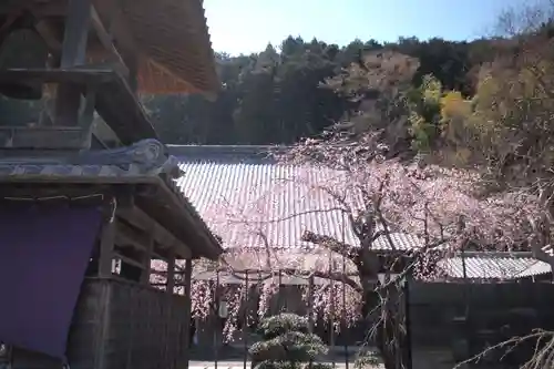 円光寺のその他建物