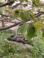 長勝院の{uncategorized: "未分類", other: "その他", undefined: "問題あり", building: "その他建物", grave: "お墓", sacred_gate: "鳥居", guardian: "狛犬", statue: "像", buddha: "仏像", history: "歴史", nature: "自然", garden: "庭園", animal: "動物", pagoda: "塔", temizu: "手水舎", mountain_gate: "山門・神門", sanctuary: "本殿・本堂", subordinate: "末社・摂社", art: "芸術", scenery: "景色", jizo: "地蔵", ema: "絵馬", goshuin: "御朱印", omikuji: "おみくじ", items: "授与品その他", amulet: "お守り", goshuincho: "御朱印帳", eats: "食事", festival: "お祭り", votive_dance: "神楽", shichigosan: "七五三参", wedding: "結婚式", experience: "体験その他", initially: "初詣", around: "周辺", anti_infection: "感染症対策"}