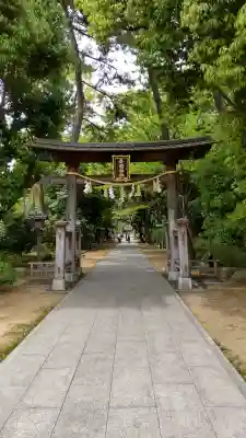 辛國神社の{uncategorized: "未分類", other: "その他", undefined: "問題あり", building: "その他建物", grave: "お墓", sacred_gate: "鳥居", guardian: "狛犬", statue: "像", buddha: "仏像", history: "歴史", nature: "自然", garden: "庭園", animal: "動物", pagoda: "塔", temizu: "手水舎", mountain_gate: "山門・神門", sanctuary: "本殿・本堂", subordinate: "末社・摂社", art: "芸術", scenery: "景色", jizo: "地蔵", ema: "絵馬", goshuin: "御朱印", omikuji: "おみくじ", items: "授与品その他", amulet: "お守り", goshuincho: "御朱印帳", eats: "食事", festival: "お祭り", votive_dance: "神楽", shichigosan: "七五三参", wedding: "結婚式", experience: "体験その他", initially: "初詣", around: "周辺", anti_infection: "感染症対策"}