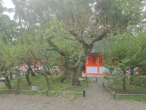 北野天満宮(京都府)