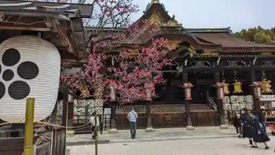 北野天満宮(京都府)