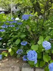 三輪神社(愛知県)