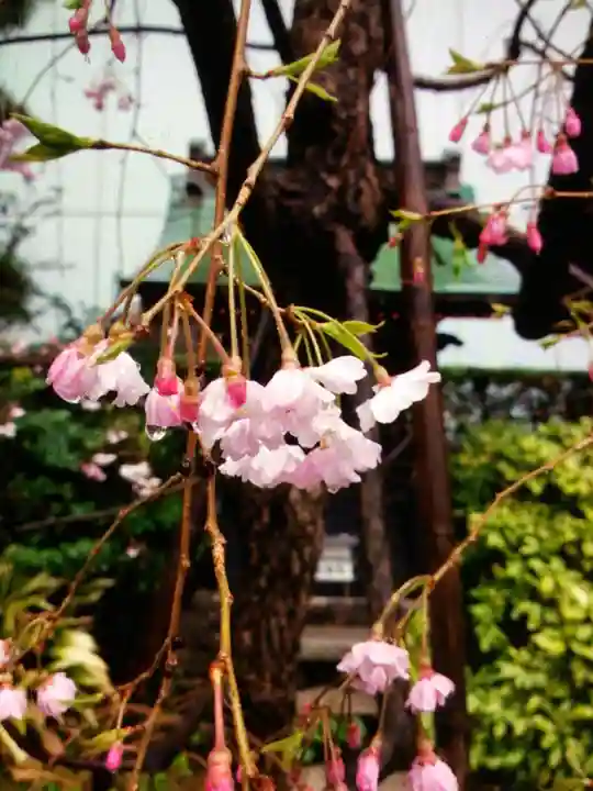 成子天神社(東京都)