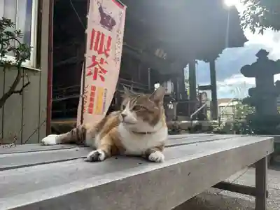 秩父札所十三番 慈眼寺(埼玉県)