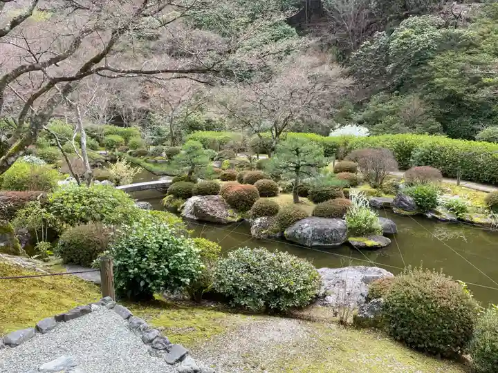 三室戸寺(京都府)