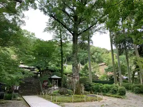 大興善寺の庭園