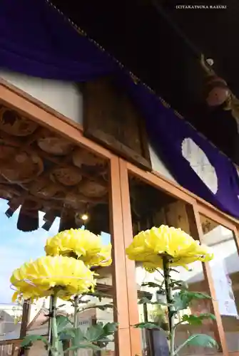 菊名神社(神奈川県)