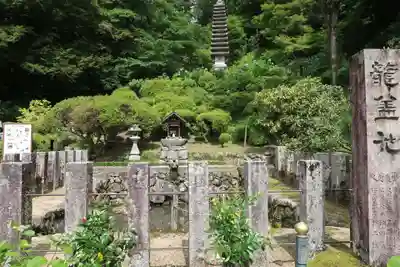 岡寺(龍蓋寺)(奈良県)