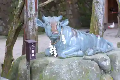 石上神宮(奈良県)