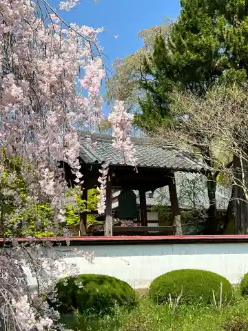 正蓮寺の{uncategorized: "未分類", other: "その他", undefined: "問題あり", building: "その他建物", grave: "お墓", sacred_gate: "鳥居", guardian: "狛犬", statue: "像", buddha: "仏像", history: "歴史", nature: "自然", garden: "庭園", animal: "動物", pagoda: "塔", temizu: "手水舎", mountain_gate: "山門・神門", sanctuary: "本殿・本堂", subordinate: "末社・摂社", art: "芸術", scenery: "景色", jizo: "地蔵", ema: "絵馬", goshuin: "御朱印", omikuji: "おみくじ", items: "授与品その他", amulet: "お守り", goshuincho: "御朱印帳", eats: "食事", festival: "お祭り", votive_dance: "神楽", shichigosan: "七五三参", wedding: "結婚式", experience: "体験その他", initially: "初詣", around: "周辺", anti_infection: "感染症対策"}