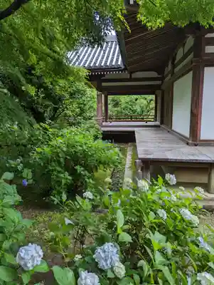 法金剛院(京都府)