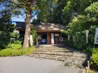 阿佐ヶ谷神明宮(東京都)