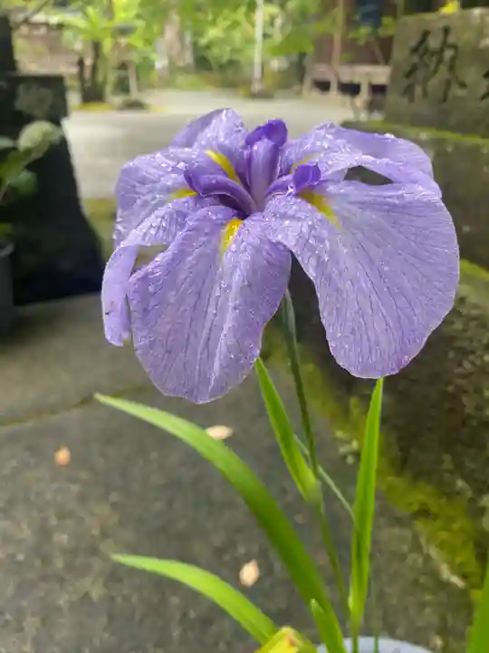 彦嶽宮(熊本県)