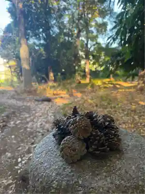 布多天神社(東京都)
