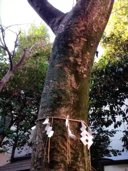 くまくま神社(導きの社 熊野町熊野神社)(東京都)