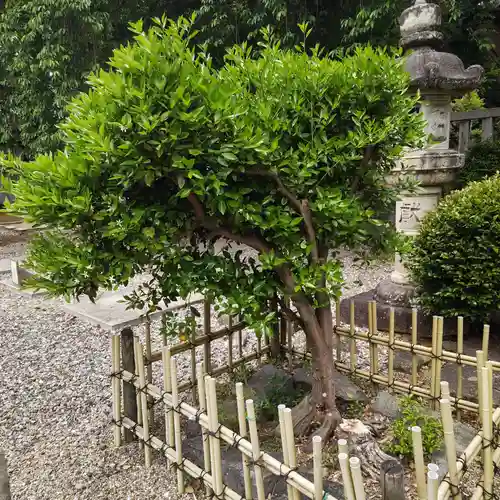 土呂八幡宮(愛知県)