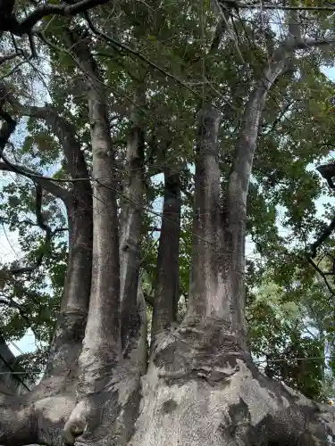 満足稲荷神社の{uncategorized: "未分類", other: "その他", undefined: "問題あり", building: "その他建物", grave: "お墓", sacred_gate: "鳥居", guardian: "狛犬", statue: "像", buddha: "仏像", history: "歴史", nature: "自然", garden: "庭園", animal: "動物", pagoda: "塔", temizu: "手水舎", mountain_gate: "山門・神門", sanctuary: "本殿・本堂", subordinate: "末社・摂社", art: "芸術", scenery: "景色", jizo: "地蔵", ema: "絵馬", goshuin: "御朱印", omikuji: "おみくじ", items: "授与品その他", amulet: "お守り", goshuincho: "御朱印帳", eats: "食事", festival: "お祭り", votive_dance: "神楽", shichigosan: "七五三参", wedding: "結婚式", experience: "体験その他", initially: "初詣", around: "周辺", anti_infection: "感染症対策"}