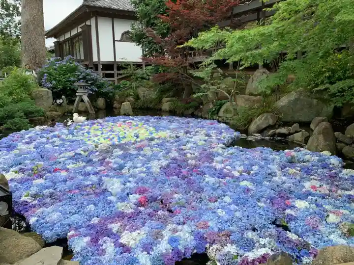 楽法寺(雨引観音)の自然