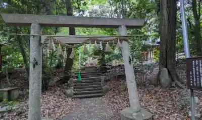 小向神社の{uncategorized: "未分類", other: "その他", undefined: "問題あり", building: "その他建物", grave: "お墓", sacred_gate: "鳥居", guardian: "狛犬", statue: "像", buddha: "仏像", history: "歴史", nature: "自然", garden: "庭園", animal: "動物", pagoda: "塔", temizu: "手水舎", mountain_gate: "山門・神門", sanctuary: "本殿・本堂", subordinate: "末社・摂社", art: "芸術", scenery: "景色", jizo: "地蔵", ema: "絵馬", goshuin: "御朱印", omikuji: "おみくじ", items: "授与品その他", amulet: "お守り", goshuincho: "御朱印帳", eats: "食事", festival: "お祭り", votive_dance: "神楽", shichigosan: "七五三参", wedding: "結婚式", experience: "体験その他", initially: "初詣", around: "周辺", anti_infection: "感染症対策"}