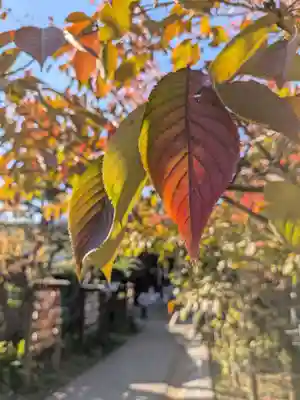 鳩森八幡神社(東京都)