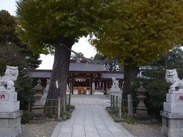 亀ケ池八幡宮の自然