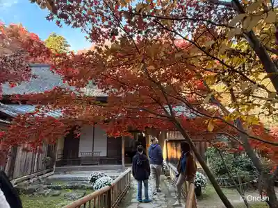 教林坊(滋賀県)