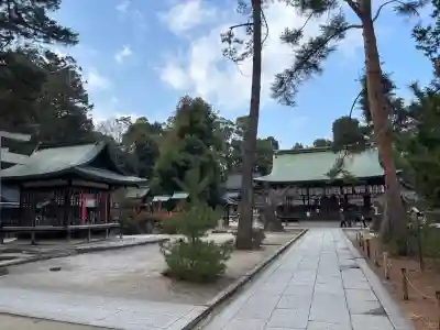 今宮神社の{uncategorized: "未分類", other: "その他", undefined: "問題あり", building: "その他建物", grave: "お墓", sacred_gate: "鳥居", guardian: "狛犬", statue: "像", buddha: "仏像", history: "歴史", nature: "自然", garden: "庭園", animal: "動物", pagoda: "塔", temizu: "手水舎", mountain_gate: "山門・神門", sanctuary: "本殿・本堂", subordinate: "末社・摂社", art: "芸術", scenery: "景色", jizo: "地蔵", ema: "絵馬", goshuin: "御朱印", omikuji: "おみくじ", items: "授与品その他", amulet: "お守り", goshuincho: "御朱印帳", eats: "食事", festival: "お祭り", votive_dance: "神楽", shichigosan: "七五三参", wedding: "結婚式", experience: "体験その他", initially: "初詣", around: "周辺", anti_infection: "感染症対策"}
