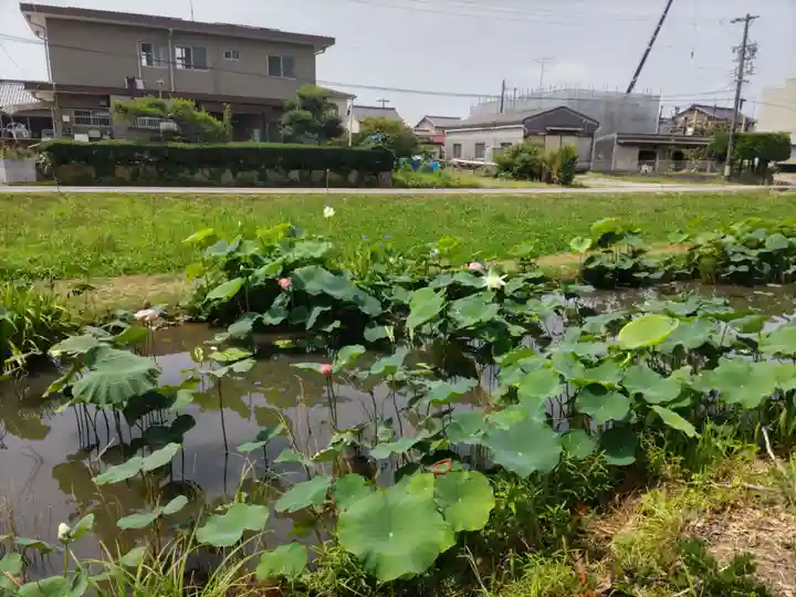 雲龍山 本證寺(愛知県)