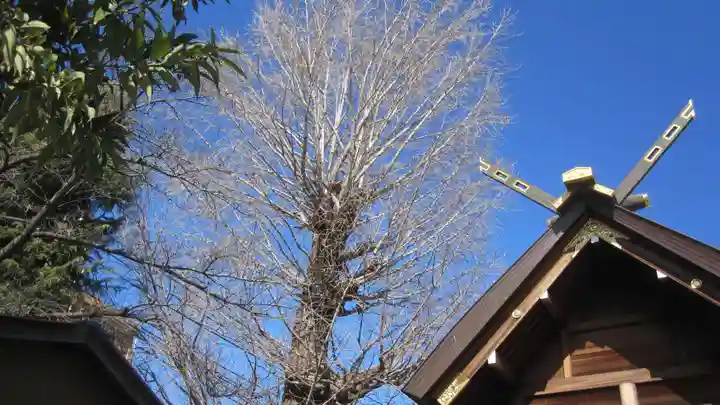 朝日氷川神社(埼玉県)