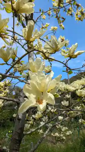 惠心院(京都府)